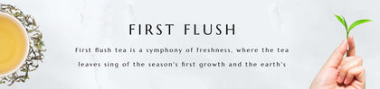 First Flush