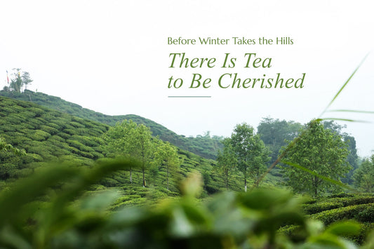 Autumn Flush Darjeeling Tea 